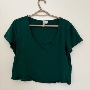 Divided Forest Green Crop Top
